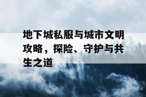 地下城私服与城市文明攻略，探险、守护与共生之道