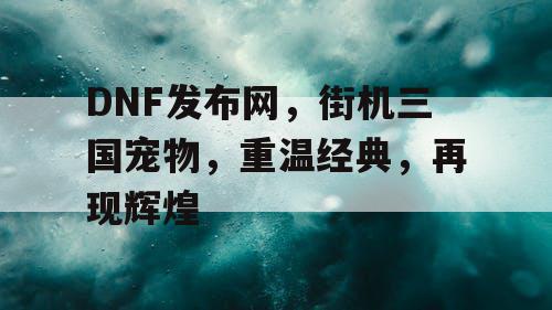 DNF发布网，街机三国宠物，重温经典，再现辉煌