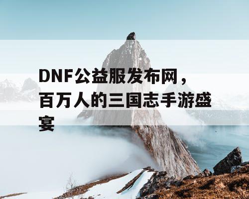 DNF公益服发布网，百万人的三国志手游盛宴