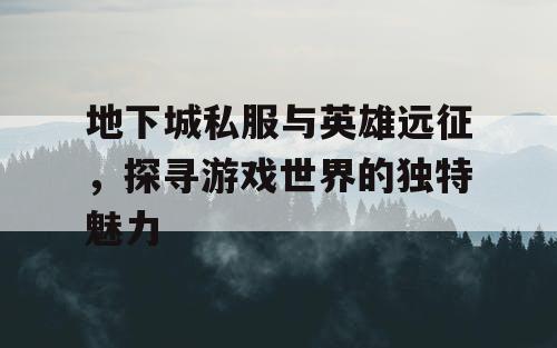 地下城私服与英雄远征，探寻游戏世界的独特魅力