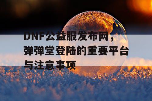 DNF公益服发布网，弹弹堂登陆的重要平台与注意事项