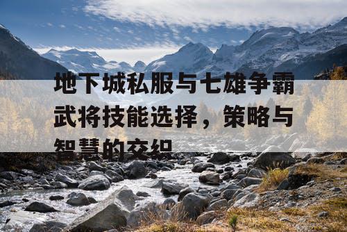 地下城私服与七雄争霸武将技能选择，策略与智慧的交织