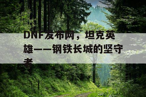 DNF发布网，坦克英雄——钢铁长城的坚守者