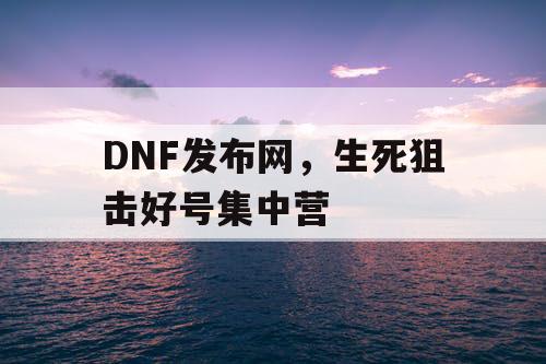 DNF发布网，生死狙击好号集中营