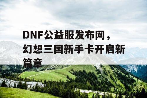 DNF公益服发布网，幻想三国新手卡开启新篇章