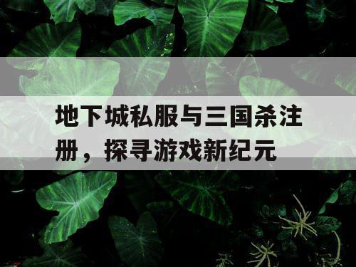 地下城私服与三国杀注册，探寻游戏新纪元