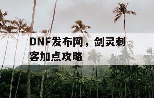 DNF发布网，剑灵刺客加点攻略