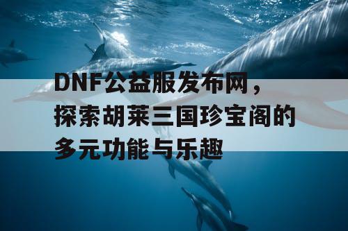 DNF公益服发布网，探索胡莱三国珍宝阁的多元功能与乐趣